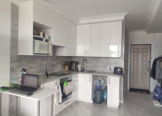 Продаю квартиру студию, 23.7 м2, рабочий посёлок Лопатино, Сухановская улица, 25