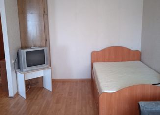 Продается однокомнатная квартира, 28.5 м2, Екатеринбург, Братская улица, 19