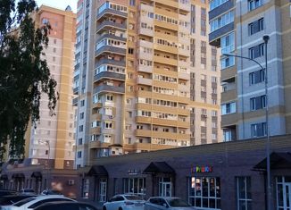 Продается однокомнатная квартира, 43 м2, Владимир, проспект Строителей, 1к1, ЖК Факел