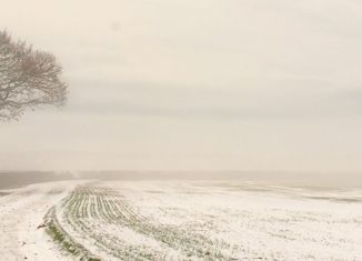 Продам земельный участок, 10 сот., деревня Боровое, улица Дудина