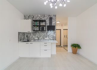 Продаю квартиру студию, 22.5 м2, Санкт-Петербург, Черниговская улица, 11к1, Черниговская улица