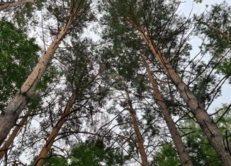 Участок на продажу, 9 сот., село Спирино, Боровая улица, 11/2