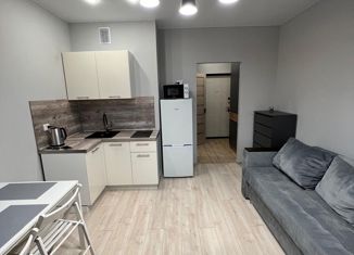 Продажа квартиры студии, 24 м2, Кудрово, проспект Строителей, 16, ЖК Геометрия