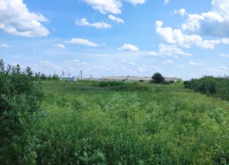 Продается земельный участок, 24 сот., деревня Бородулино, Шоссейная улица, 23
