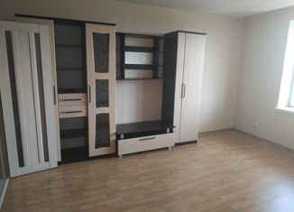 Продается 1-ком. квартира, 45 м2, Ижевск, Парковая улица, 3, Карлутский район