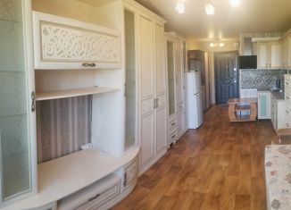 Продам 1-комнатную квартиру, 24 м2, Артём, улица Кирова, 150