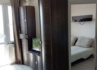 Сдаю в аренду однокомнатную квартиру, 35 м2, село Весёлое, улица Мира, 81Б