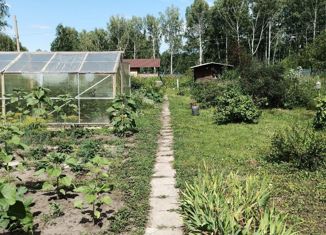 Продам участок, 6.5 сот., садовое товарищество Генетик, садовое товарищество Генетик, 198