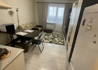 Сдаю квартиру студию, 21 м2, Тверь, Новочеркасская улица, 57, ЖК Волга Лайф