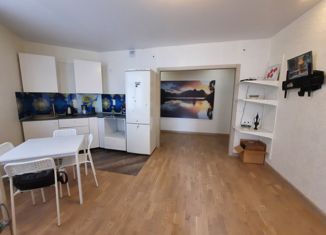 Продам 1-комнатную квартиру, 49.5 м2, Санкт-Петербург, улица Турку, 13к1, улица Турку