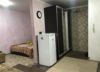 Сдам в аренду 1-комнатную квартиру, 32 м2, Таганрог, улица Мичурина, 3