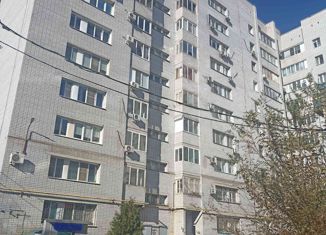 1-комнатная квартира в аренду, 35 м2, Волгоградская область, Родниковая улица, 18