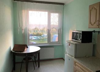 Продаю 1-комнатную квартиру, 31 м2, деревня Кабицыно, микрорайон Молодёжный, 6