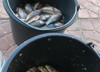 Продается дом, 95 м2, деревня Малинки