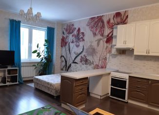 Квартира на продажу студия, 46.9 м2, Санкт-Петербург, Земледельческая улица, 5к2, Земледельческая улица