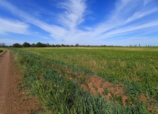 Продается участок, 124 сот., село Михайловка