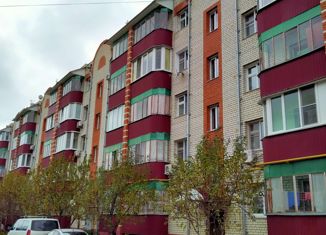 Продается однокомнатная квартира, 35.5 м2, деревня Красненькая, Совхозный переулок, 20