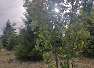 Земельный участок на продажу, 8 сот., садовое товарищество Ветеран, садовое товарищество Ветеран, 444