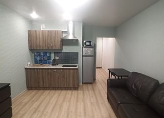 Сдаю в аренду квартиру студию, 26 м2, Мурино, улица Шувалова, 14, ЖК Созвездие