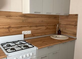 1-ком. квартира на продажу, 30.3 м2, Курган, проспект Конституции, 41, жилой район Энергетики