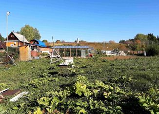 Продажа дома, 25 м2, деревня Забегаево