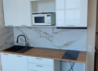 1-комнатная квартира на продажу, 25 м2, Сочи, Фермерская улица, 31, микрорайон Энергетик-Изумруд