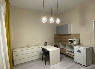 Сдам квартиру студию, 25 м2, Новосибирск, улица Михаила Кулагина, 33, ЖК Молодёжный