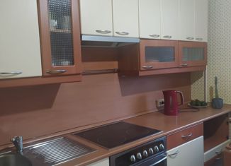 Двухкомнатная квартира на продажу, 52.6 м2, Санкт-Петербург, улица Дмитрия Устинова, 4к1, метро Рыбацкое