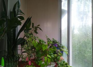 Продам 1-комнатную квартиру, 31.7 м2, Иваново, 2-й Спортивный переулок, 1, район Пустошь-Бор