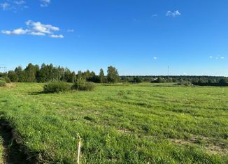 Продаю участок, 9.05 сот., деревня Еремеево