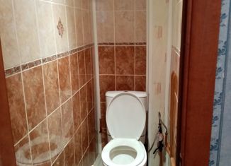 Продаю 2-комнатную квартиру, 48 м2, поселок Новобатурино, Центральная улица, 18