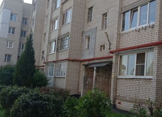 Продается 2-комнатная квартира, 51.6 м2, Нижегородская область, проспект Победы, 2Б