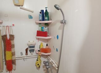 Дом на продажу, 164 м2, деревня Быстрая