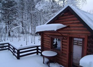 Сдается в аренду дом, 25 м2, Красноярск, Свердловский район, садоводческое некоммерческое товарищество Мраморный Карьер, 1001