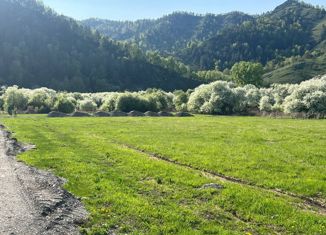 Продается участок, 10.18 сот., СНТ Радуга Жизни