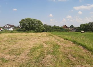 Продам участок, 25 сот., село Спасское-Городище, Центральная улица, 47