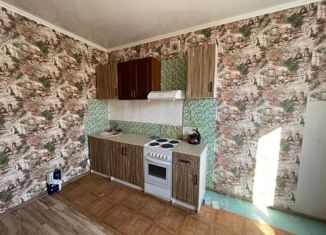 Продажа 2-ком. квартиры, 49 м2, село Гайдук, Зелёная улица, 40