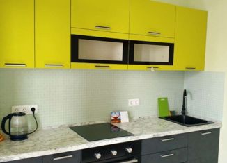 Продам 1-комнатную квартиру, 39 м2, Санкт-Петербург, улица Дыбенко, 4к1, метро Елизаровская