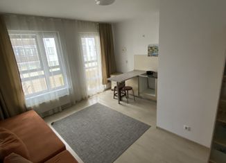 Квартира на продажу студия, 25.2 м2, посёлок Мичуринский, Широкореченская улица, 58к5