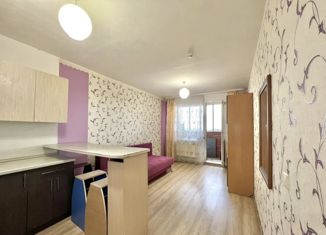 Продается квартира студия, 23 м2, поселок Октябрьский, Полесская улица, 6