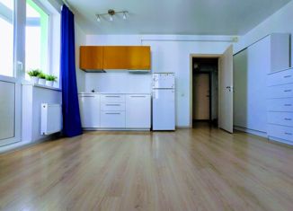 Продажа квартиры студии, 29.3 м2, Санкт-Петербург, проспект Королёва, 59к2, ЖК Граффити