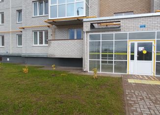 Продажа 2-комнатной квартиры, 64 м2, деревня Борисовичи, Балтийская улица, 22