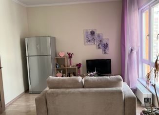 1-комнатная квартира на продажу, 35 м2, Новосибирск, улица Ясный Берег, 11, улица Ясный Берег