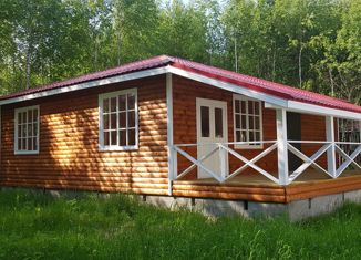 Продажа дома, 100 м2, деревня Петровское, деревня Петровское, 21А