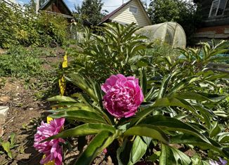 Продается участок, 4 сот., Чайковский, садовые участки № 37, 249