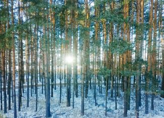 1-ком. квартира на продажу, 29.9 м2, поселок Золотой Колос, посёлок Золотой Колос, 1