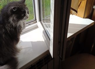 Продажа дома, 109.1 м2, село Ижма, Паромная улица, 14