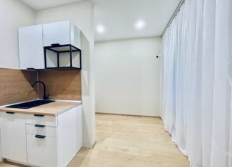 Квартира на продажу студия, 17.9 м2, Санкт-Петербург, метро Балтийская, улица Шкапина, 42