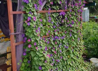 Продается дом, 19 м2, Магнитогорск, садовое товарищество Мичурина-4, 313