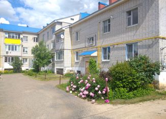 Продается трехкомнатная квартира, 61 м2, село Пестрецы, Вишнёвая улица, 6